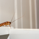 Image for article titled Signs Your Landlord Is Definitely Taking Advantage Of You